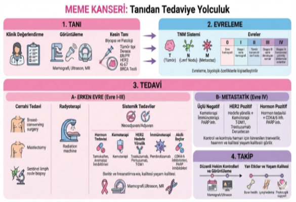 Prof. Dr. Muhammet Ali Kaplan Mene Kanseri